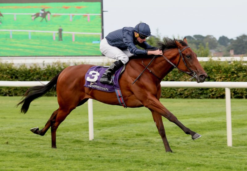 Composing (wootton bassett) Wins The Silver Flash Stakes