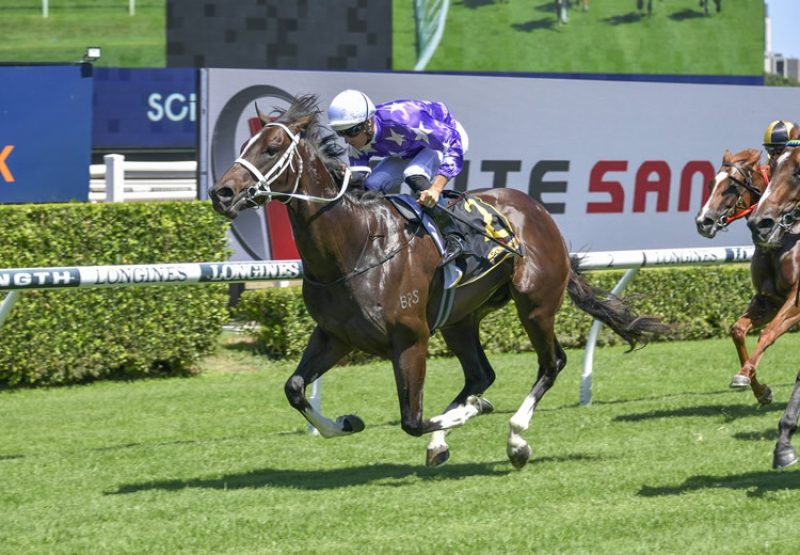 Conqueror (Churchill) winning at Randwick