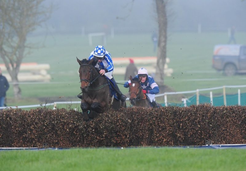 Cool Getaway (Getaway) winning a point-to-point at Tattersalls