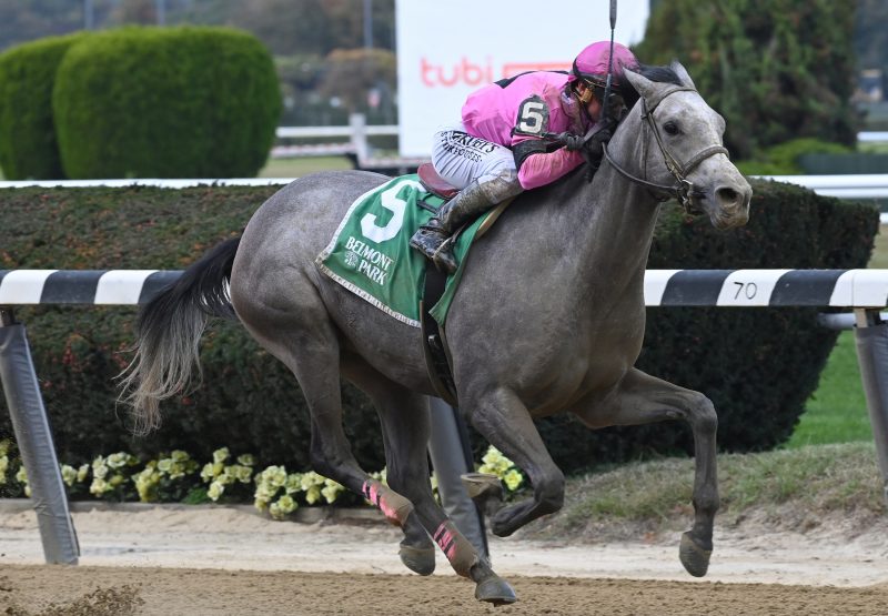 Cupids Heart Cupid Belmont Msw