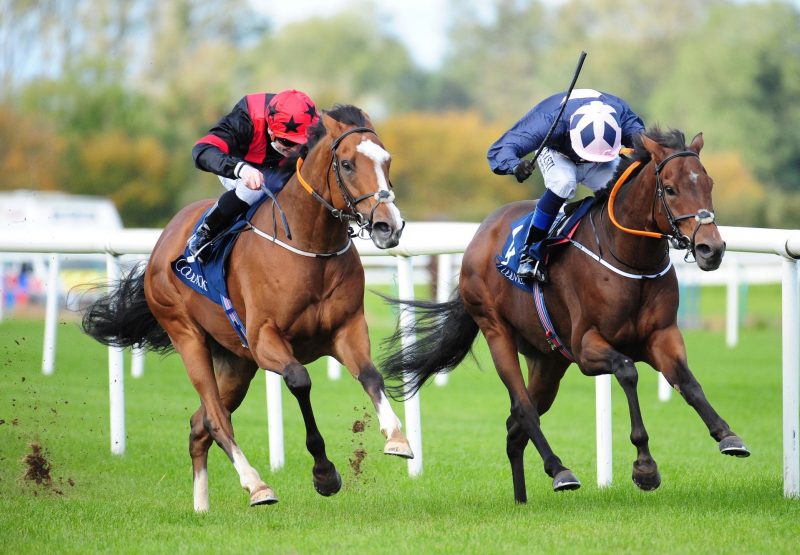 Current Option (Camelot) Wins The Group 3 Concorde Stakes at Tipperary