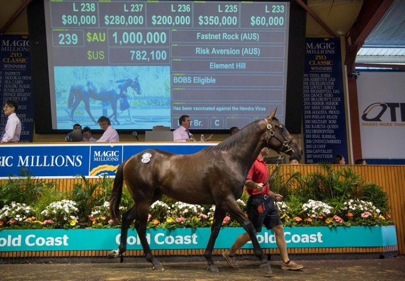 Fastnet Rock ex Risk Aversion colt selling for $1 million at the Magic Millions