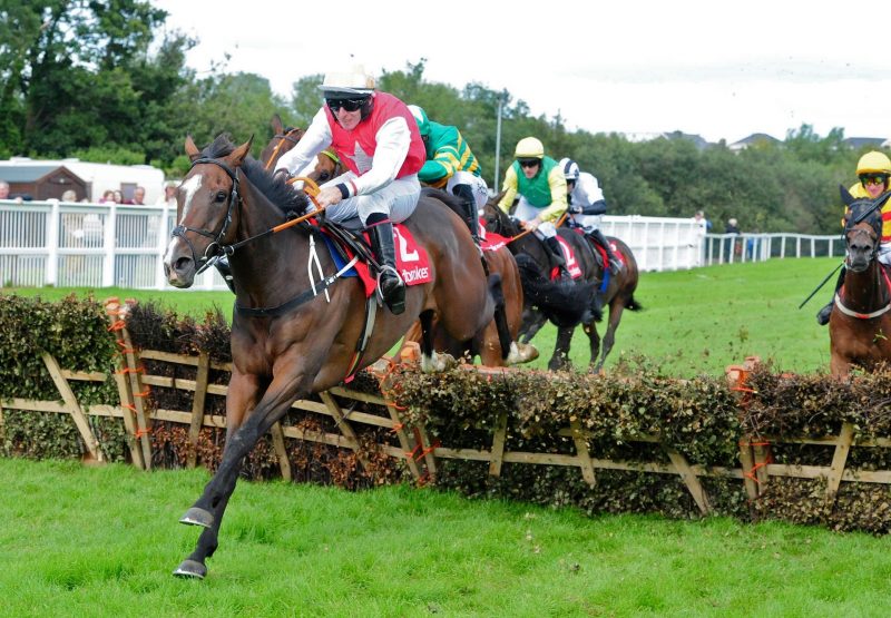 Davids Charm Wins At Listowel