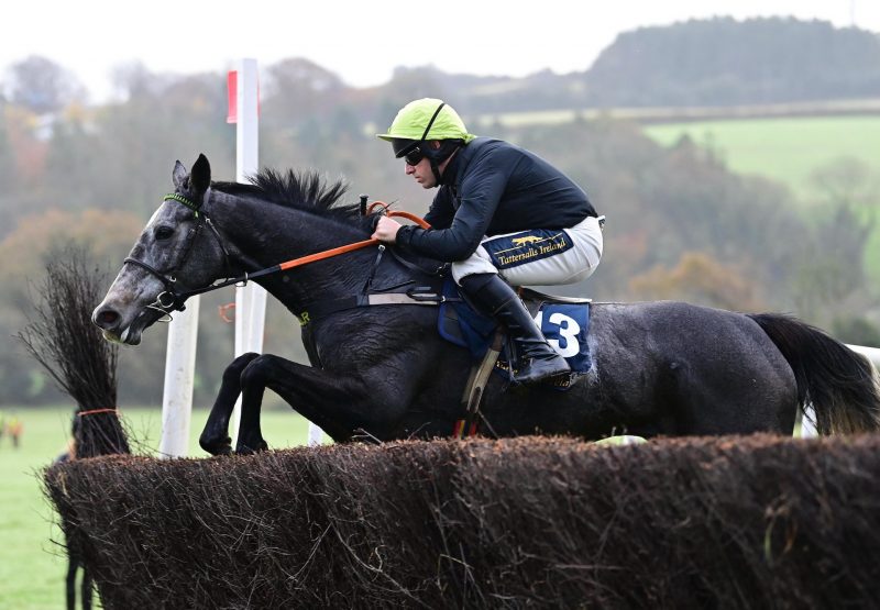 Delta Blues Belle (Walk In The Park) Wins The Four Year Old Mares Maiden At Knockmullen