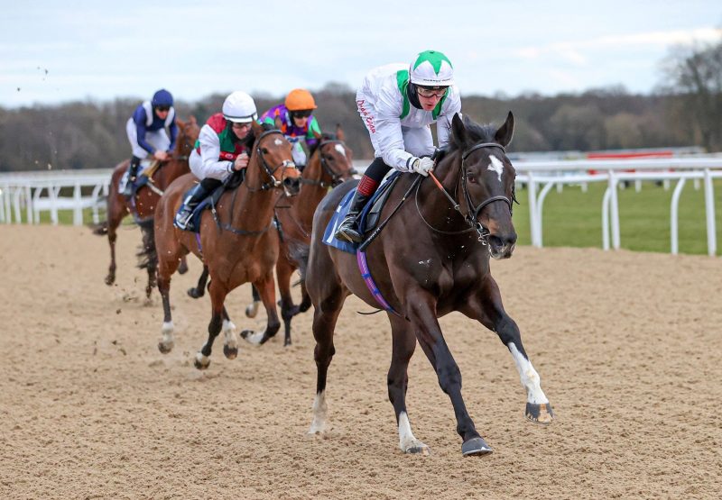 Dirham Emirati (Vadamos) Wins The Novice Stakes At Newcastle