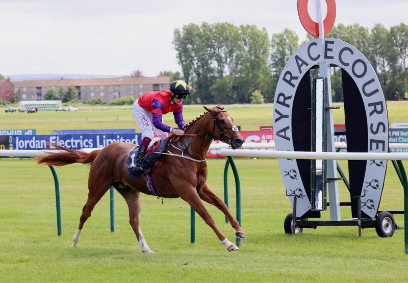 Dornoch Castle (Gleneagles) Makes It Two From Two at Ayr