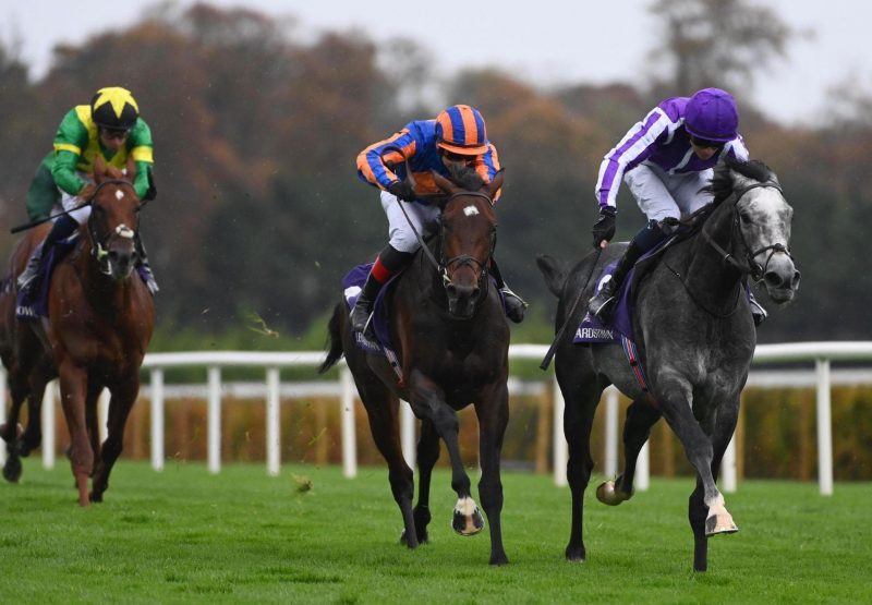 Dorset Wootton Bassett Leopardstown