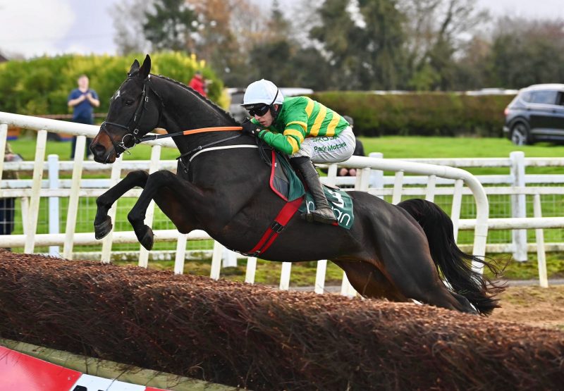 Down Memory Lane (Walk In The Park) Wins The Beginners Chase At Navan