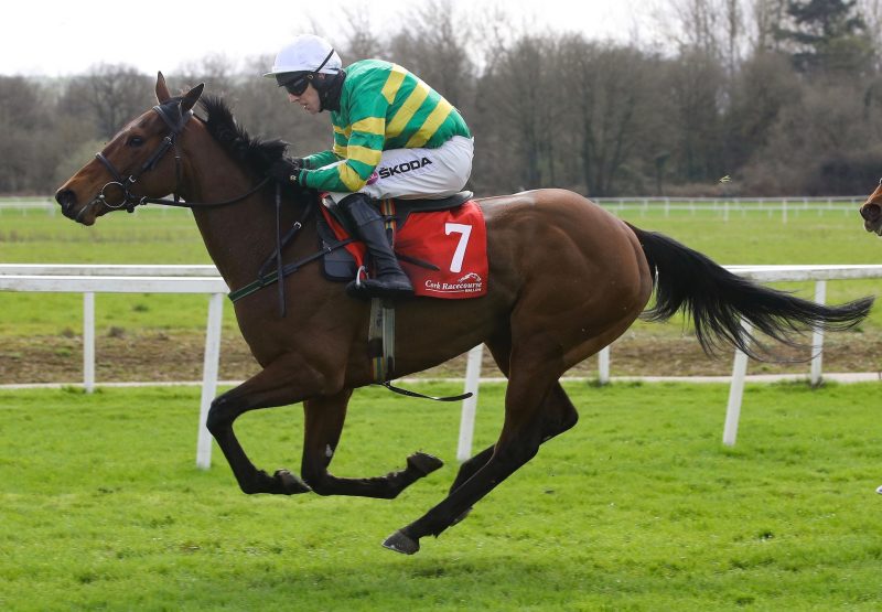 Dreamsrmadeofthis (Walk In The Park) Makes A Winning Debut At Cork