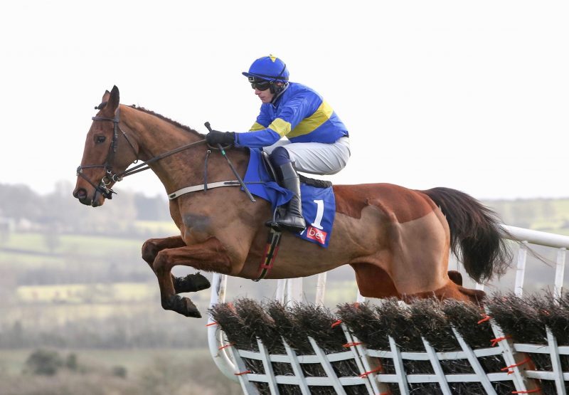 Dysart Dynamo (Westerner) Impresses In The Grade 2 Moscow Flyer Novice Hurdle At Punchestown