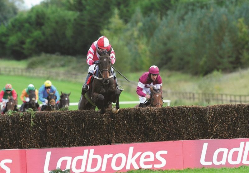 Total Recall (Westerner) winning the Ladbrokes Trophy Chase at Newbury