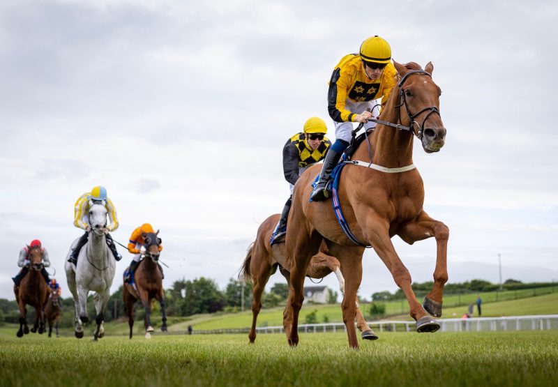 Earl Of Tyrone (Australia) Wins The Listed Martin Molony Stakes at Limerick