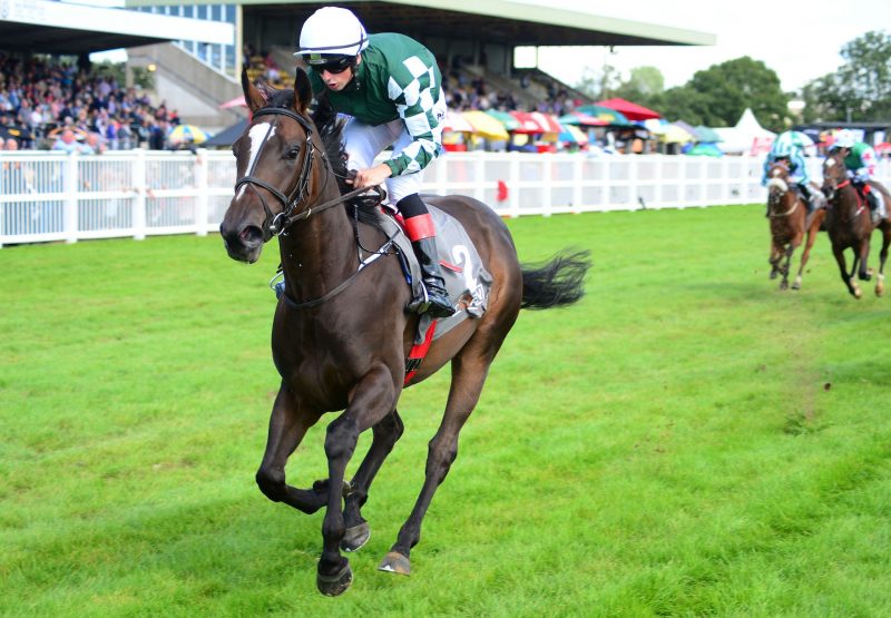 Elite Legion Becomes The Latest Winner By War Command