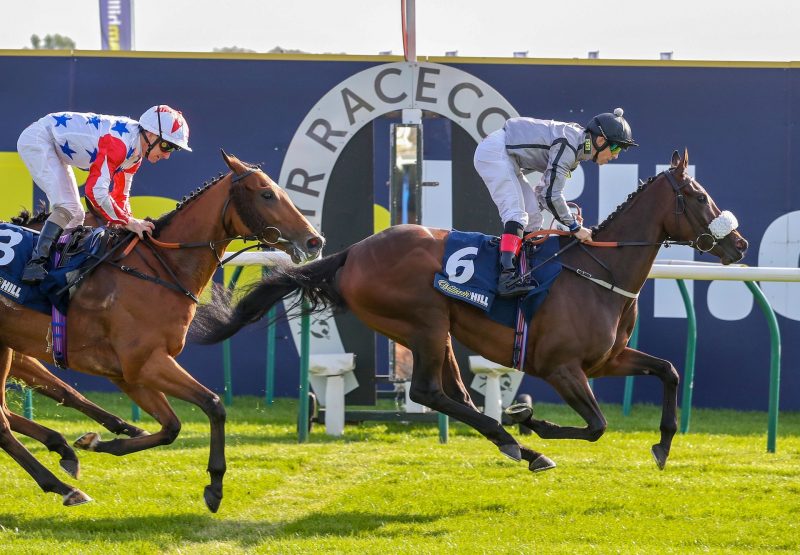 Encapsulation Becomes The Latest Stakes Winner By Zoffany