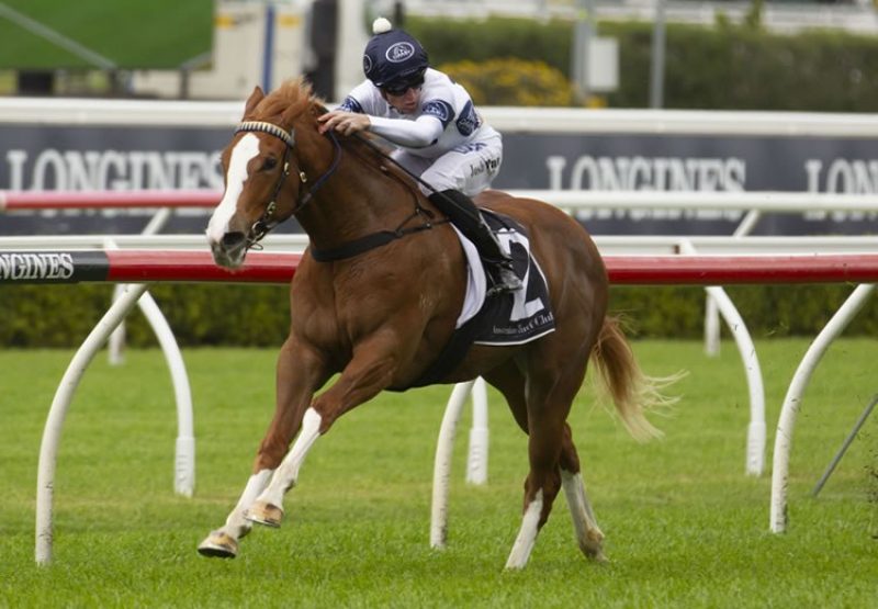 Every Rose (Choisir) winning the Gr.3 ATC Gimcrack Stakes at Randwick