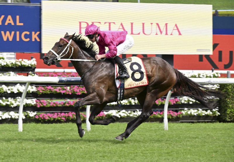 Fangirl wins the Gr.2 Apollo Stakes at Randwick