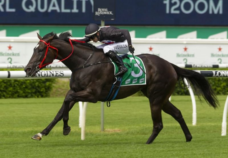 Fasika (So You Think) winning the Gr.3 Wenona Girl Quality at Randwick