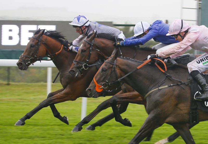 Fayez Lands A Valuable Prize For Zoffany Resized