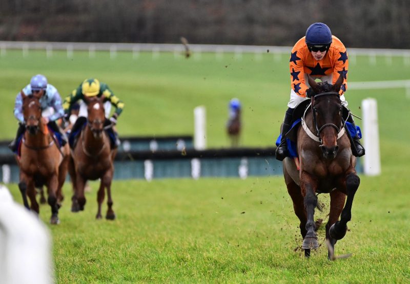 Final Demand (Walk In The Park) Wins The Maiden Hurdle At Limerick