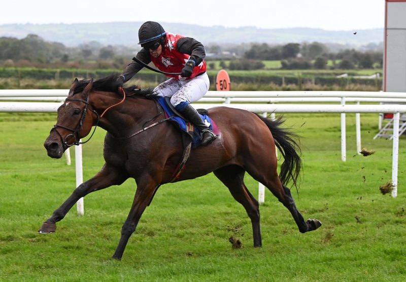 Fleur In The Park (Walk In The Park) Wins On Debut at Roscommon