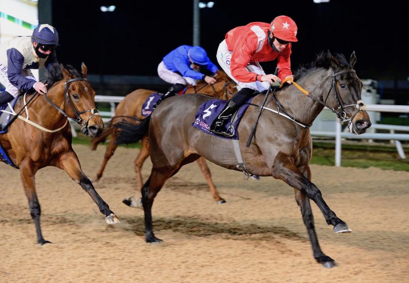 Flirting Bridge (Camelot) Wins The Fillies Maiden At Dundalk