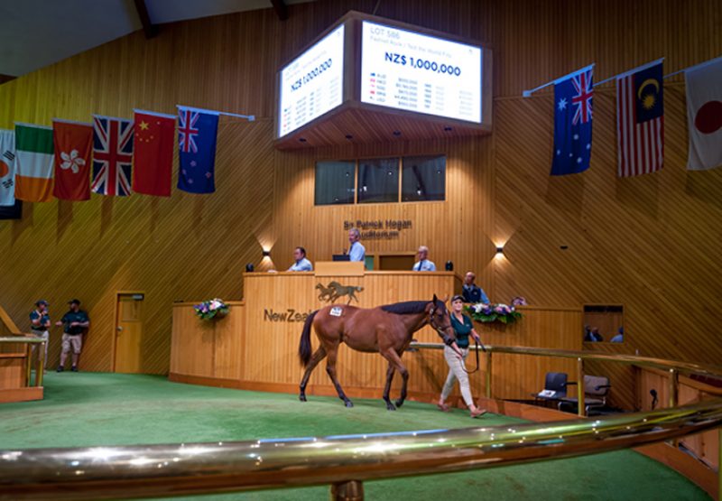 Fastnet Rock X Test The World filly selling for $1 million