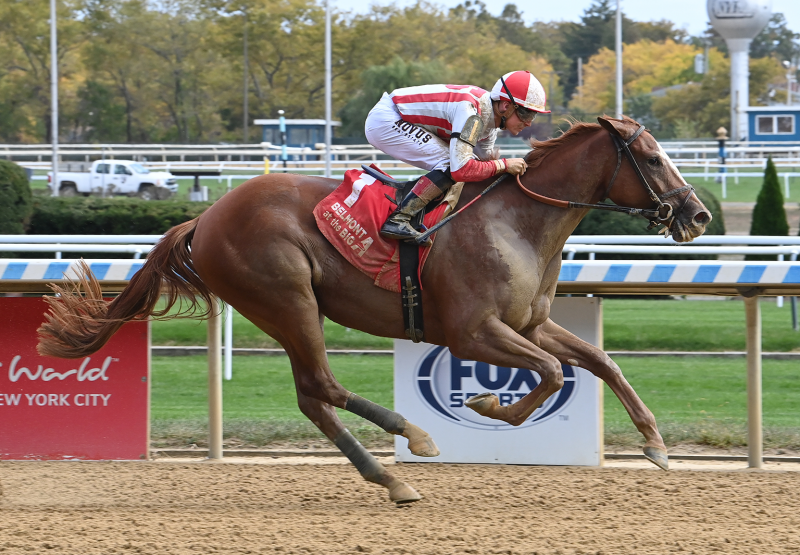 Fully Subscribed (Tiz The Law) Wins Aqueduct Msw