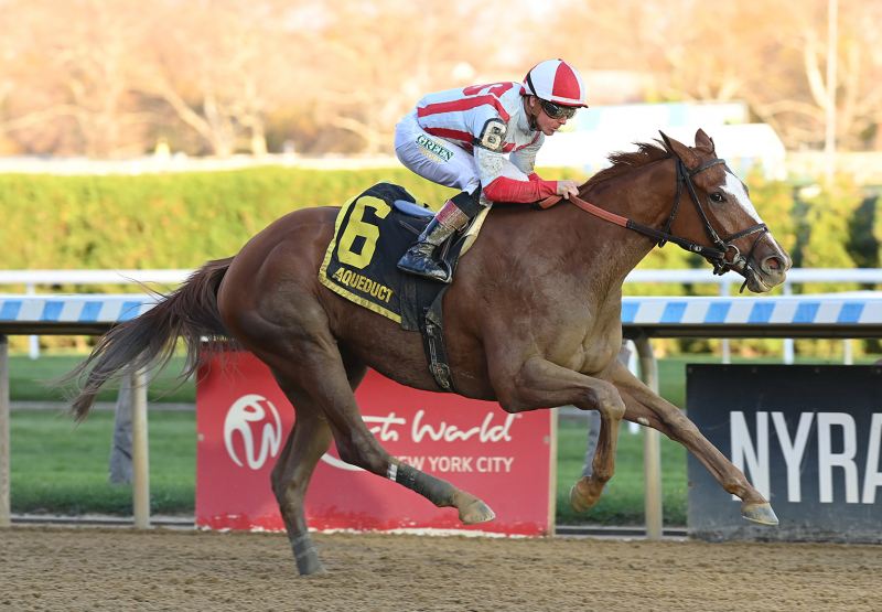 Fully Subscribed Tiz The Law Wins Gr 2 Mother Goose