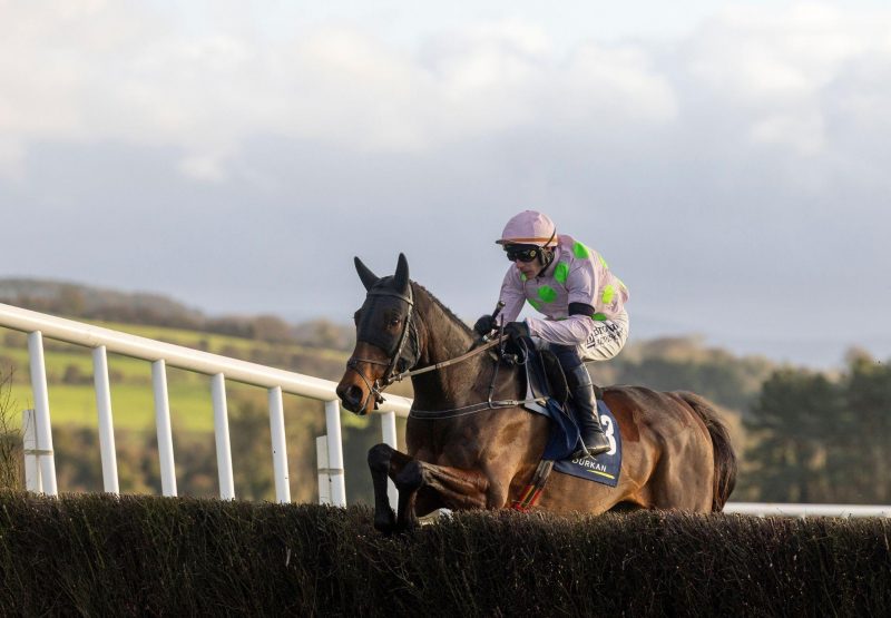 Gaelic Warrior Maxios Punchestown