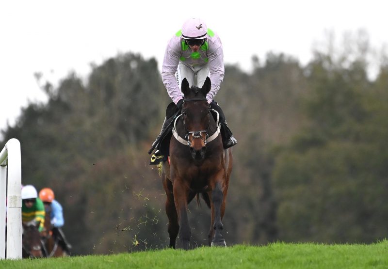 Gaelic Warrior (Maxios) Wins The Beginners Chase At Punchestown