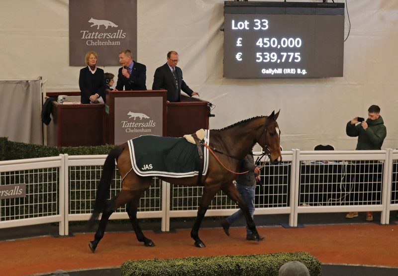 Gallyhill (Getaway) selling for £450,000 at Cheltenham