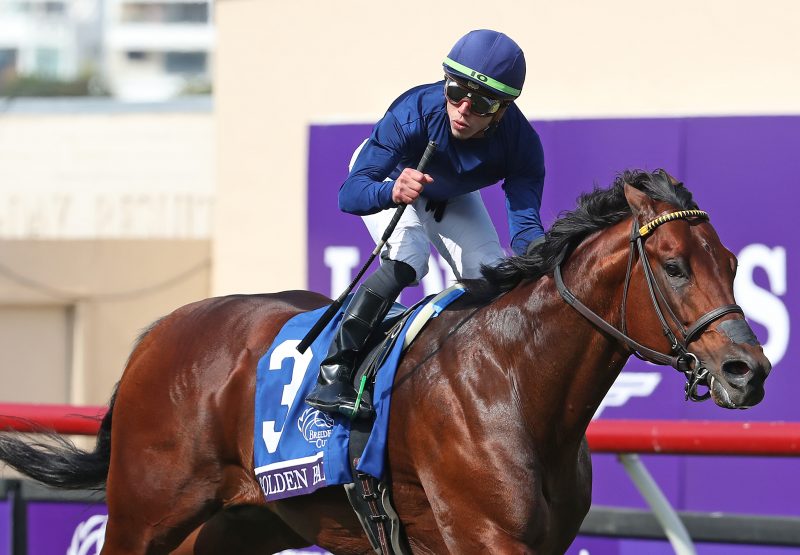 Golden Pal (Uncle Mo) winning the Gr.1 Breeders Cup Turf Sprint at Del Mar