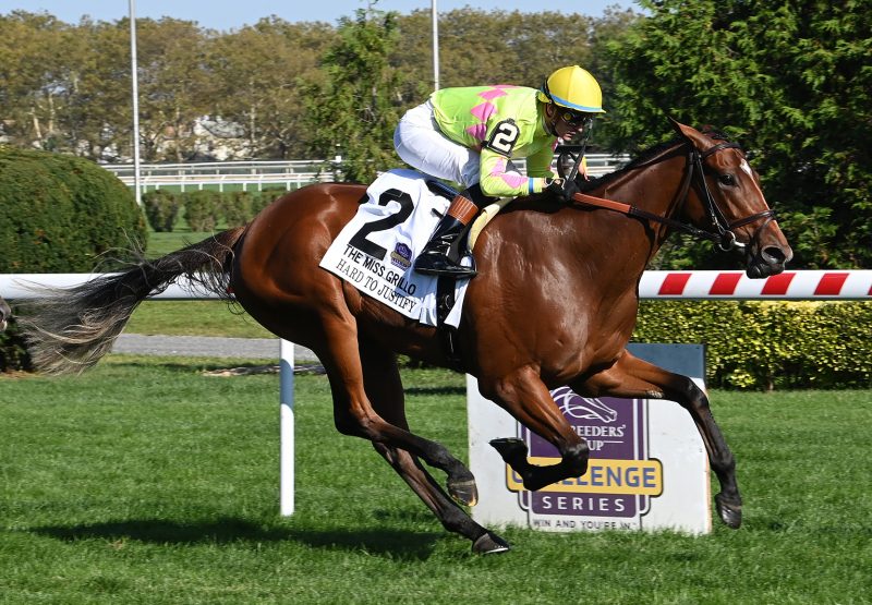 Hard To Justify (Justify) Gr.2 Miss Grillo Stakes at Belmont