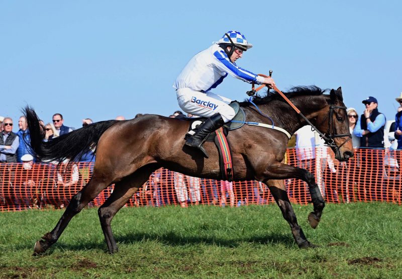 Harjo (Yeats) Wins The 5YO Maiden At Portrush