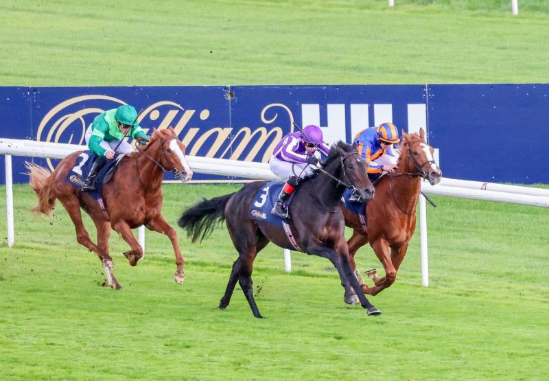 Hawk Mountain Wootton Bassett Doncaster