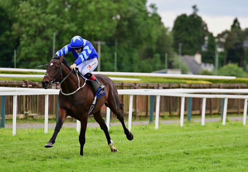 Himalayan Heights (Camelot) Wins His Maiden At Tipperary