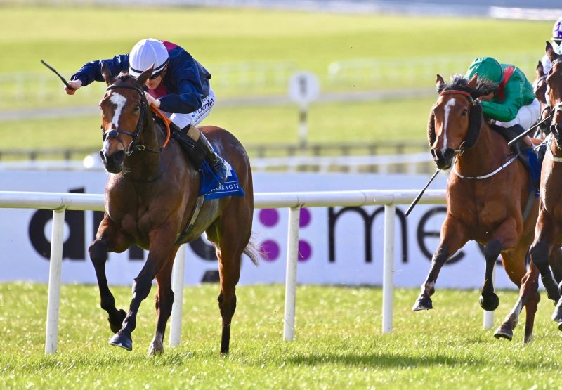 Insinuendo (Gleneagles) Wins The Group 3 Park Express Stakes at the Curragh