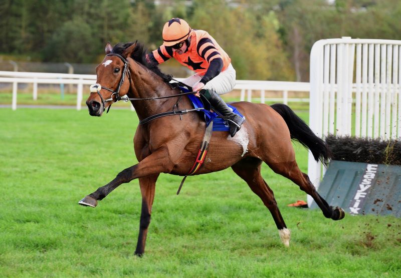 Jetara (Walk In The Park) Wins The Listed Cailin Alainn Mares Hurdle At Limerick