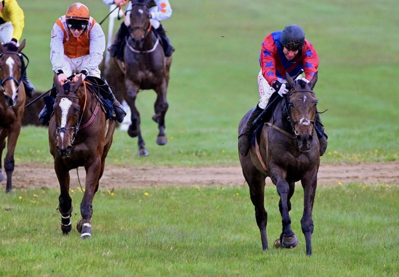 Jig's Force (Westerner) winning the  five-year-old geldings maiden point-to-point at Tattersalls.