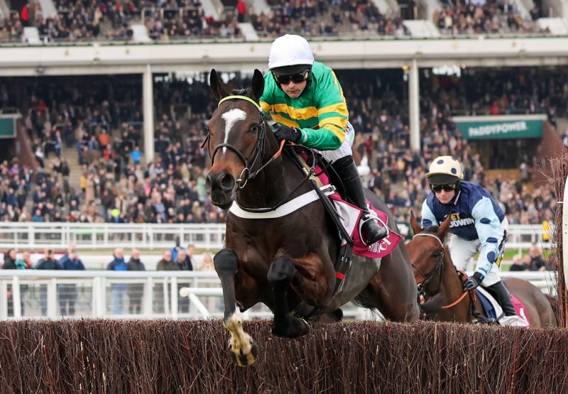 Jonbon (Walk In The Park) Wins The Tingle Creek For A Second Time