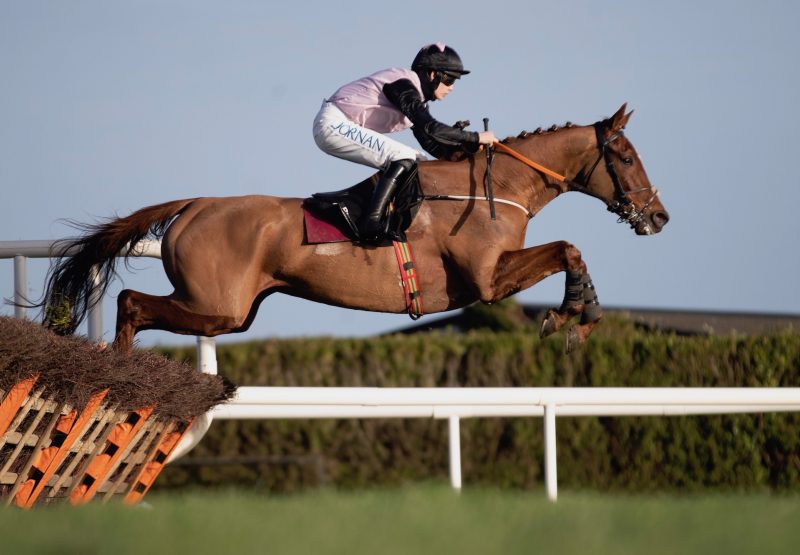 Journey With Me (Mahler) Wins His Maiden Hurdle At Leopardstown