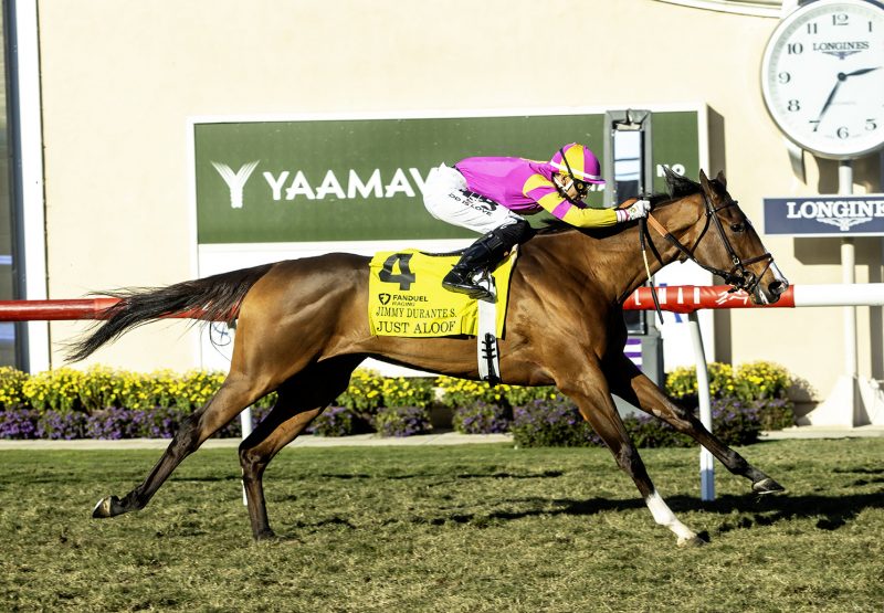 Just Aloof Justify Wins Gr 3 Jimmy Durante
