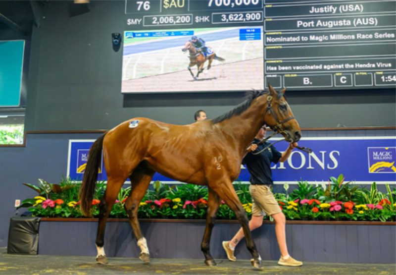 Justify X Port Augusta Ring