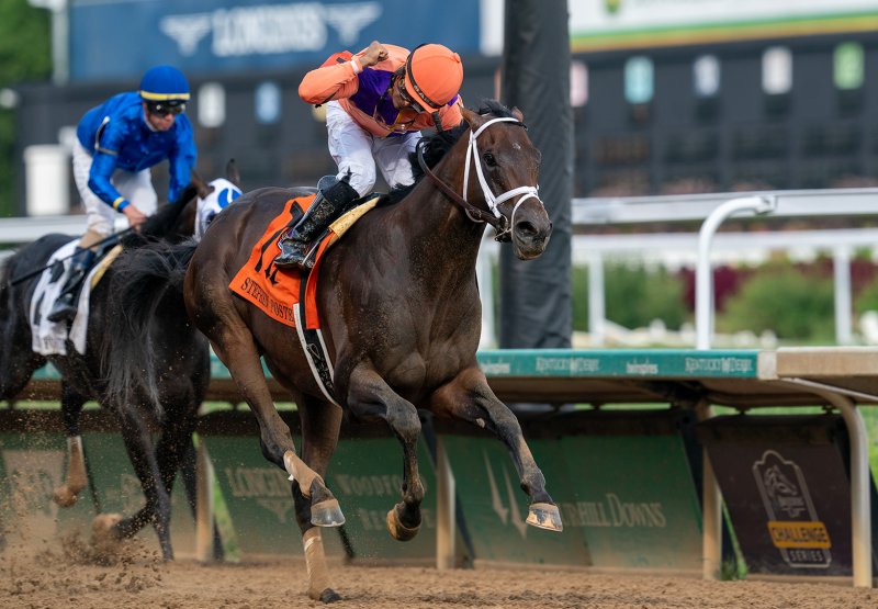 Coolmore America | Home Of Champions | Ashford Stud