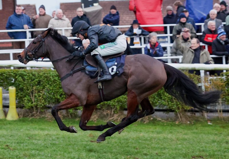 Lady Kluck (Walk In The Park) Wins The Bumper At Sedgefield