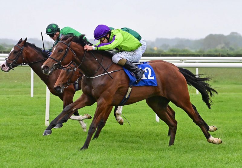 Lady O (Australia) Wins On Debut At Roscommon