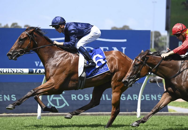 Learning To Fly (Justify) winning the Gr.3 Widden Stakes at Rosehill