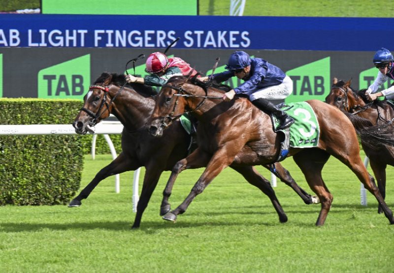 Learning To Fly (Justify) finished second in the Gr.2 Light Fingers Stakes at Randwick