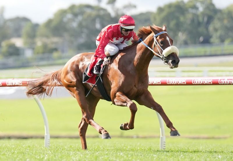 Legacies (Justify) winning the Listed Anzac Day Stakes at Sandown