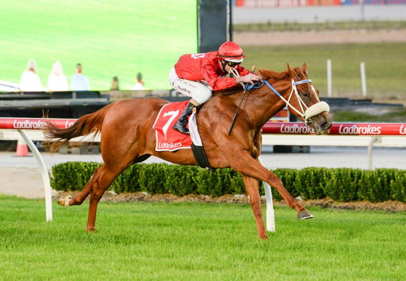 Legacies Cranbourne (Justify) winning at Cranbourne